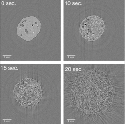 microscopy image of microwaved potato granules